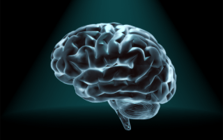 brain music