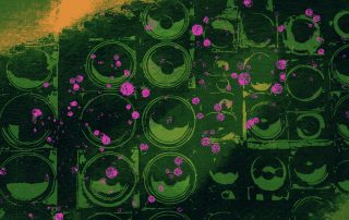 jamaicansoundsystemculture.jpg